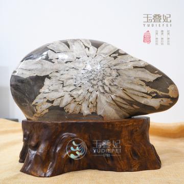 【厂家直销】天然彩色菊花石雕奇石摆件/观赏收藏送礼镇宅工艺品 举报 本产品采购属于商业贸易行为